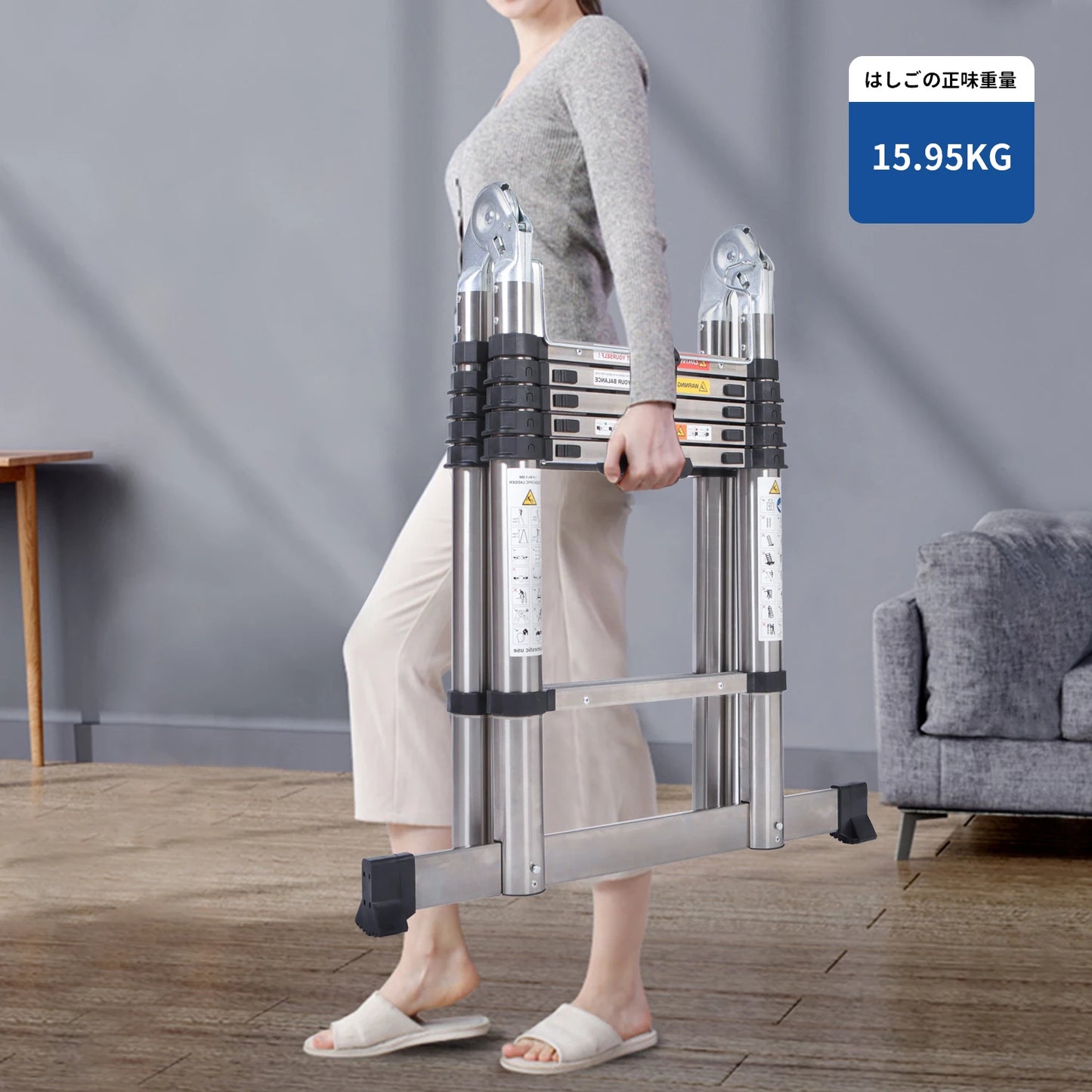 DayPlus Telescoping Ladder Stainless Steel Capacity Max Load 150kg/330lb Portable and foldable