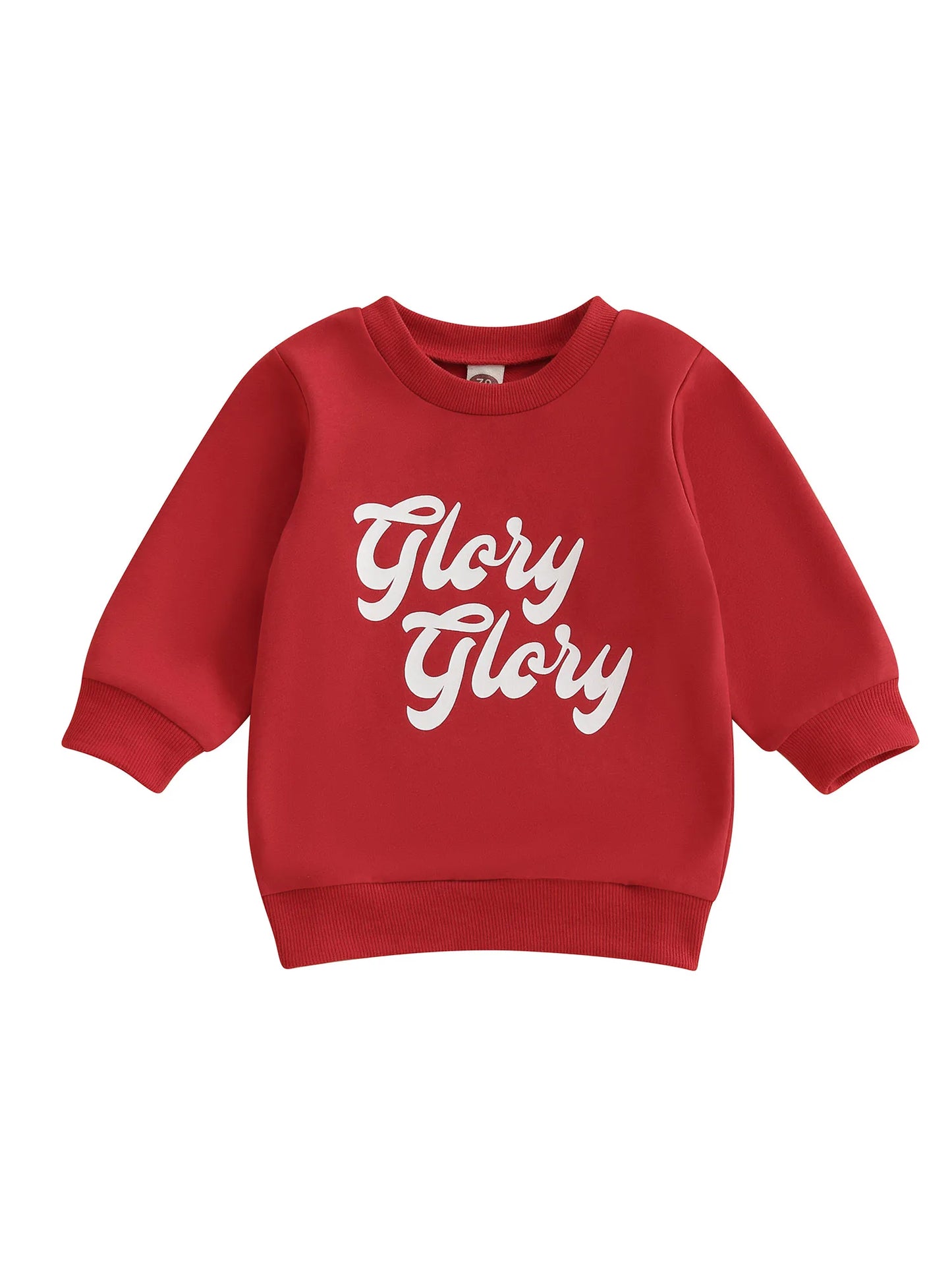 Infant Toddler Unisex Hoodie Sweater with Cute Animal Print Cozy Crew Neck Pullover for Fall Winter Outfit