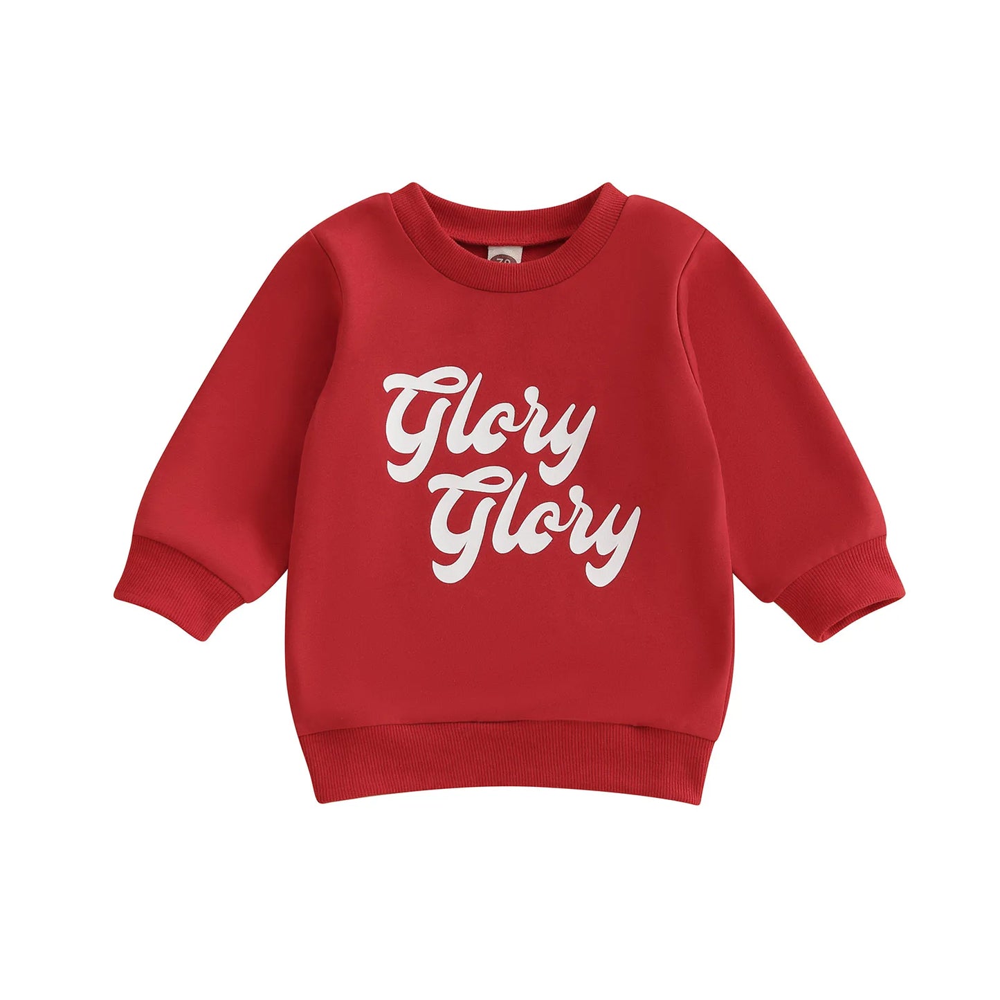 Infant Toddler Unisex Hoodie Sweater with Cute Animal Print Cozy Crew Neck Pullover for Fall Winter Outfit